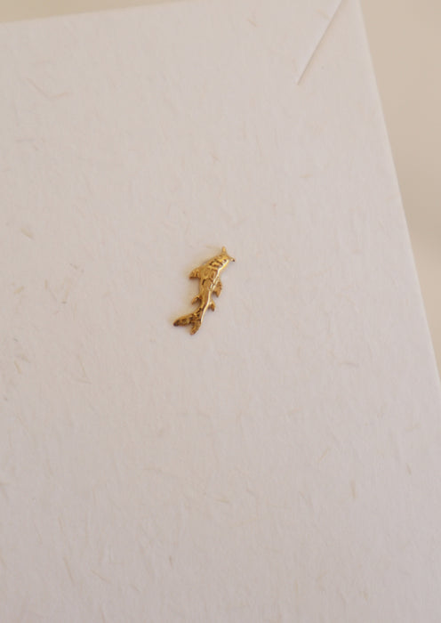 Carpe (bijoux de piercing)