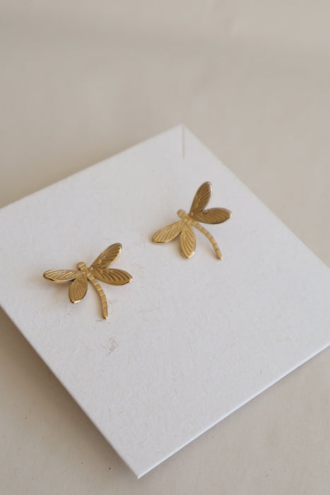 Boucles Demoiselle