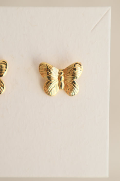 Boucles butterfly
